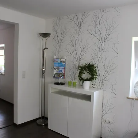 Modern In Near Forest