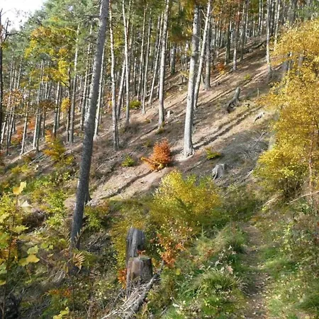 Prázdninový dům Modern In Near Forest Schwarzhausen
