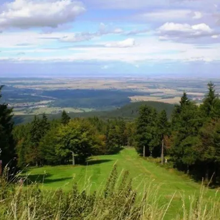 Nyaraló In *