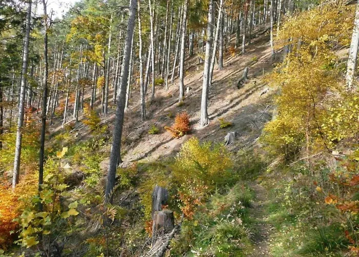 In Feriehus Schwarzhausen